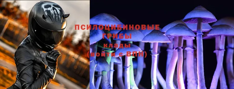 Галлюциногенные грибы Magic Shrooms  ОМГ ОМГ рабочий сайт  Краснослободск  где найти  